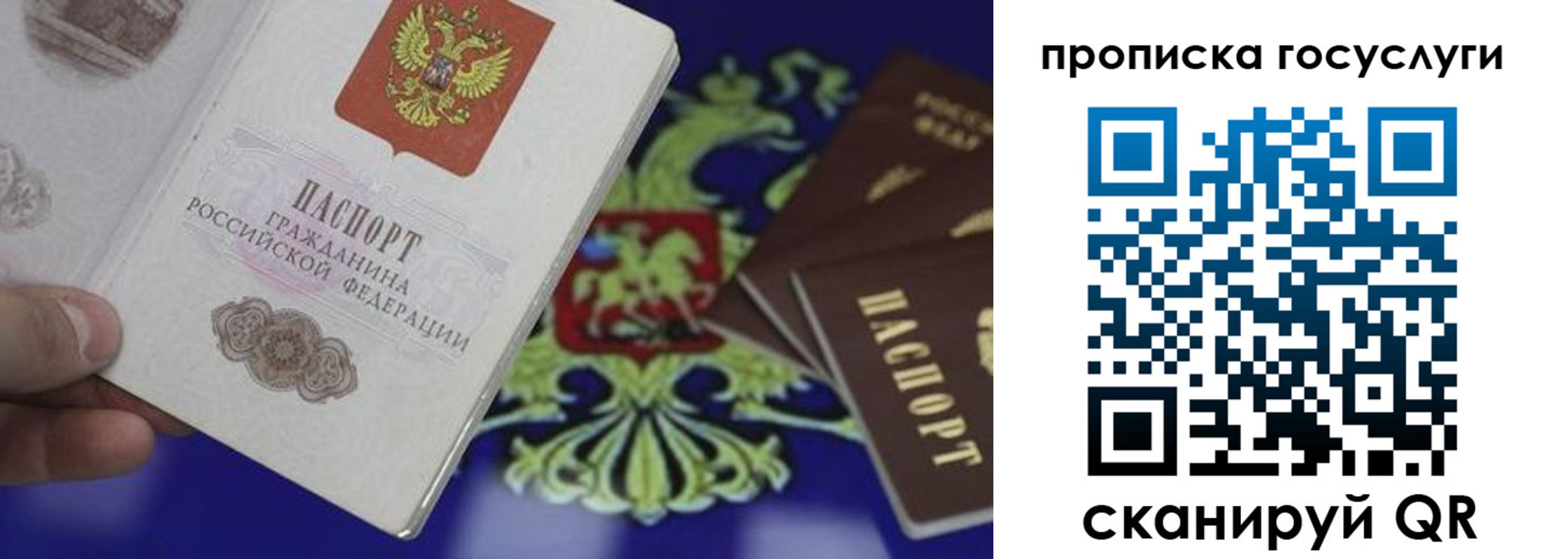 прописка для школы в Торопеце